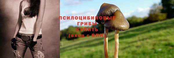 кристаллы Балахна