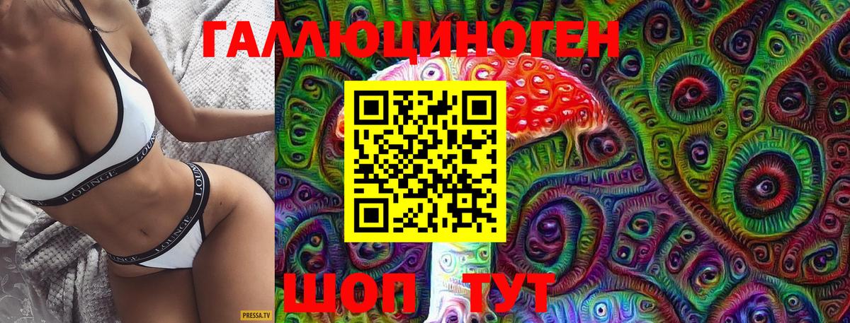 Псилоцибиновые грибы Psilocybine cubensis Краснокаменск